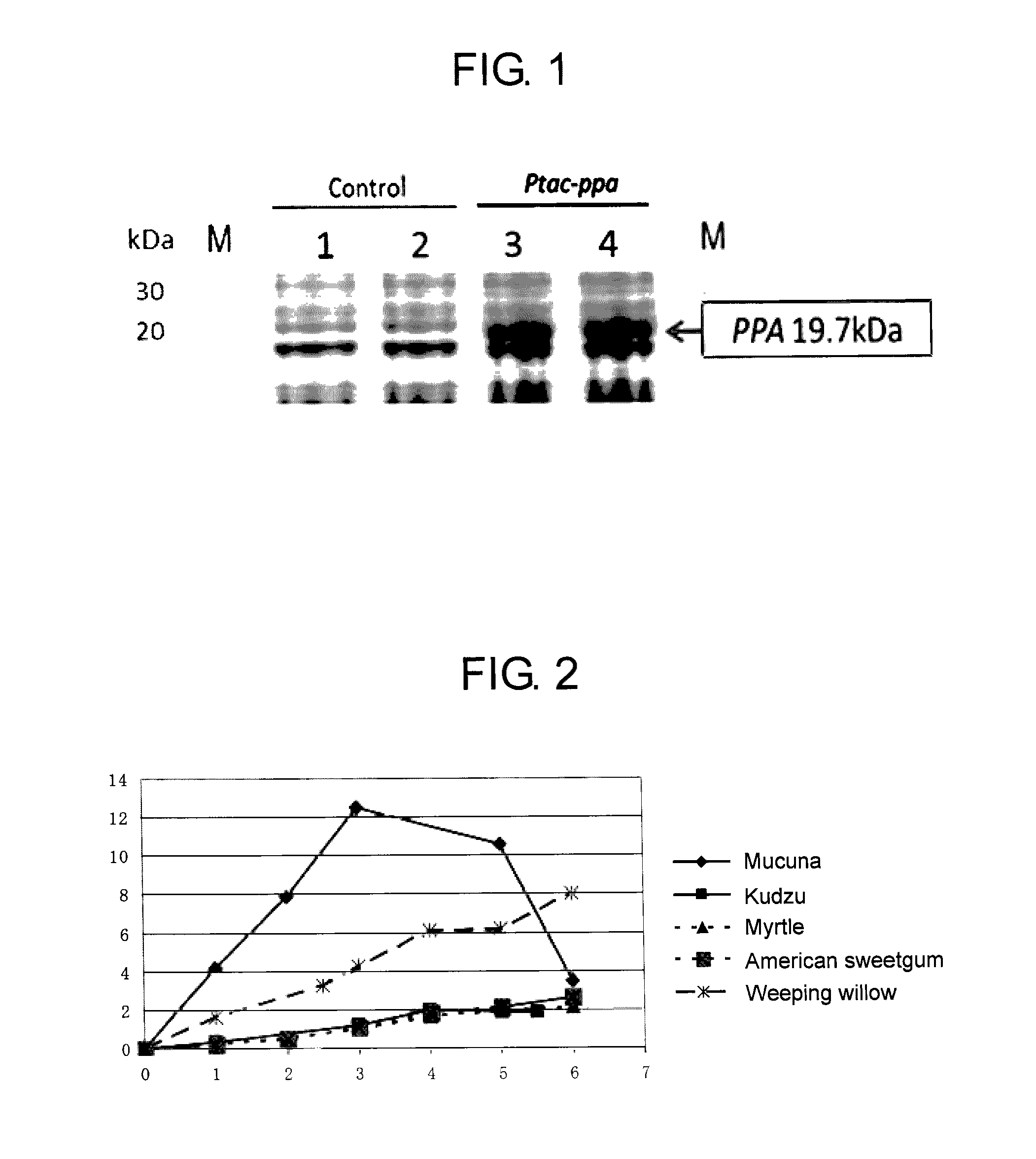 Method of producing isoprene monomer