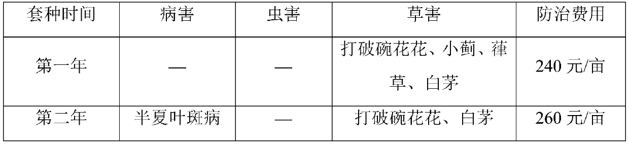 A kind of cultivation method of leaf-picking ginkgo and Pinellia intercropping