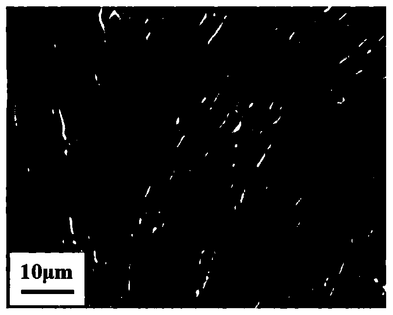 Applications of glycyl tyrosine condition culture medium in cryopreservation of mesenchymal stem cells and preparation of commercial cryopreservation protection agents