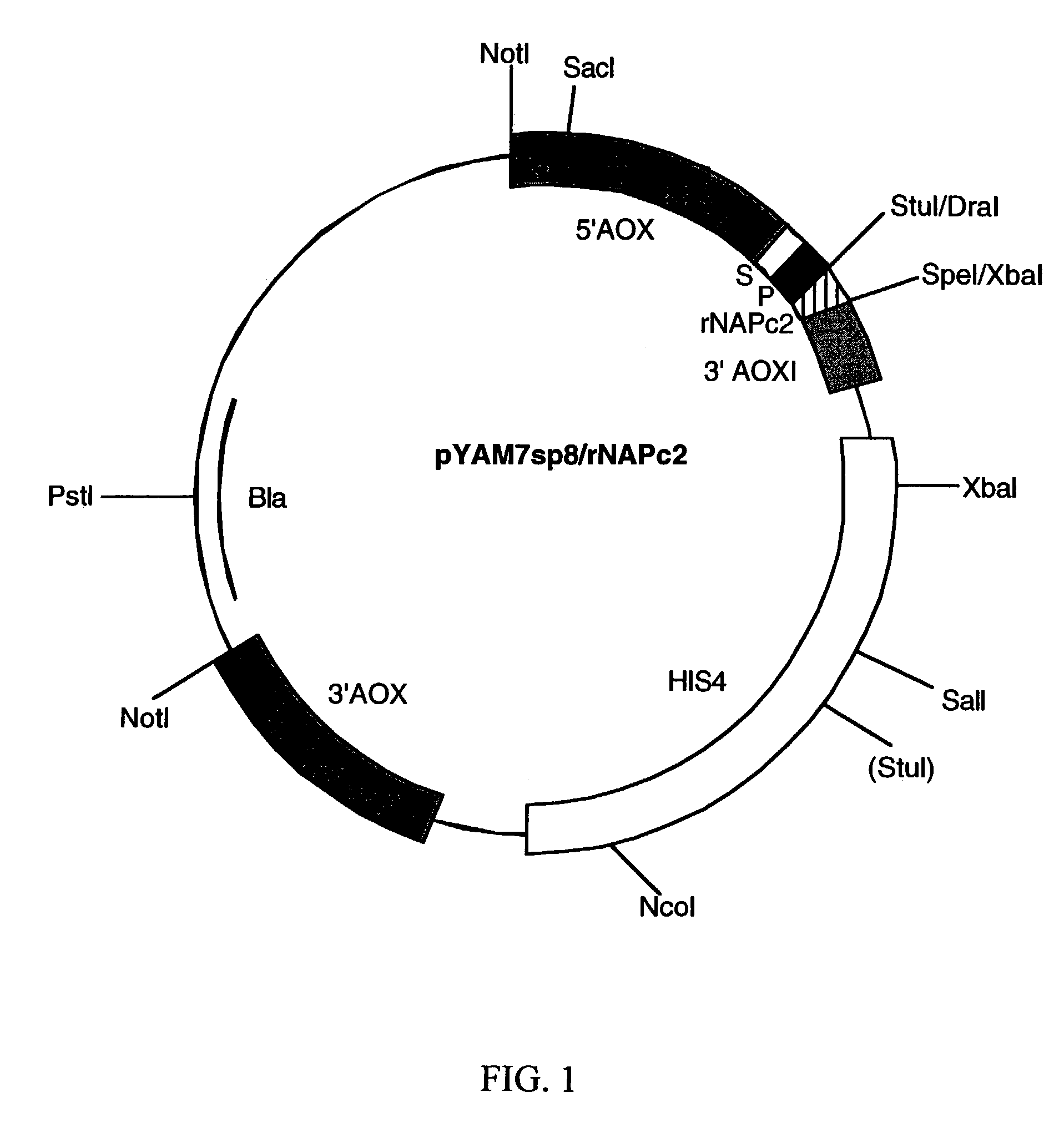 Method of treatment of hemorrhagic disease using a factor VIIa/tissue factor inhibitor