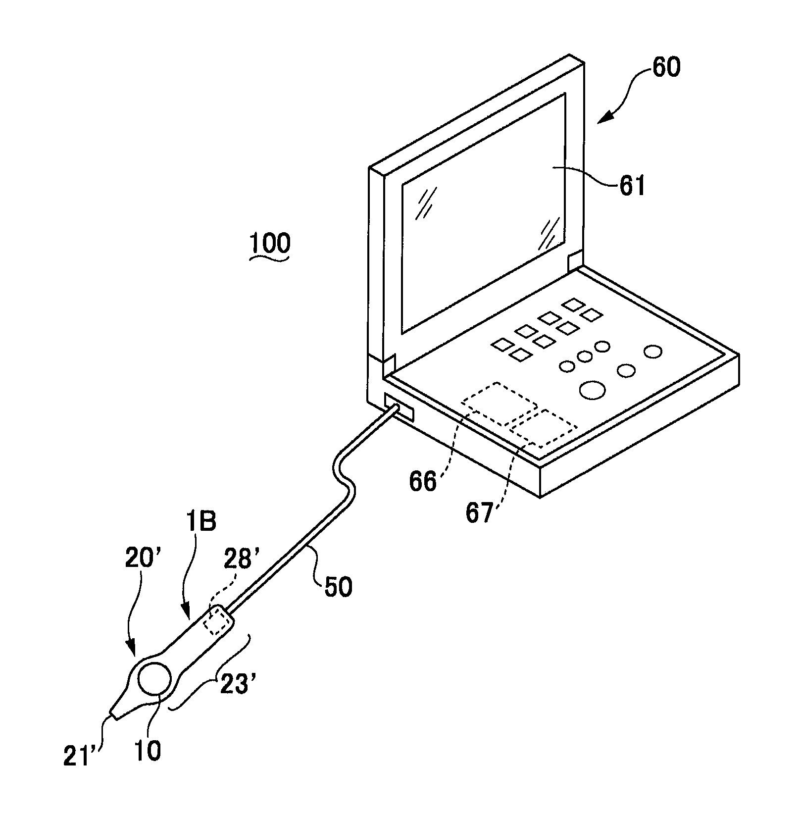 Living body testing probe