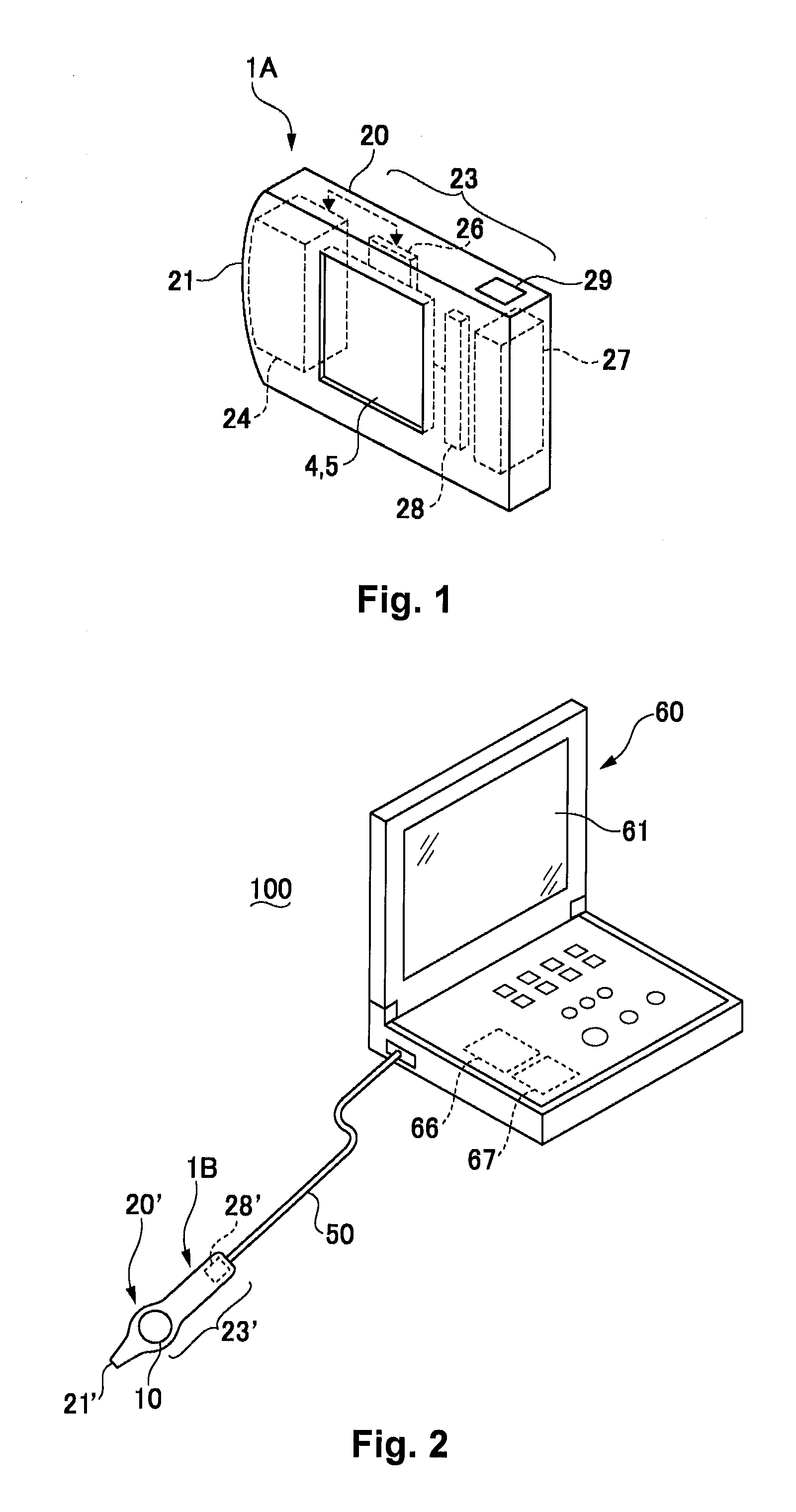 Living body testing probe