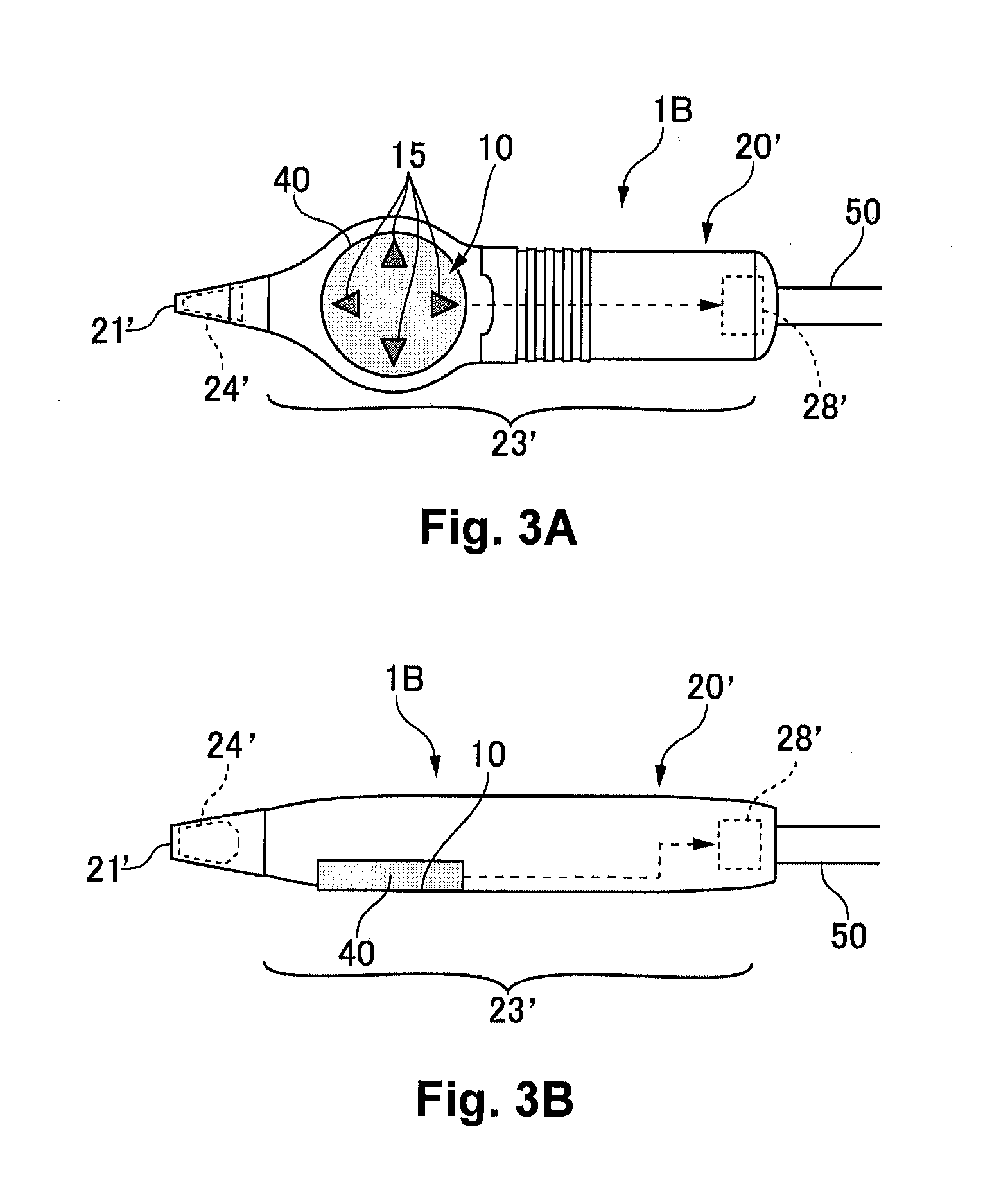 Living body testing probe