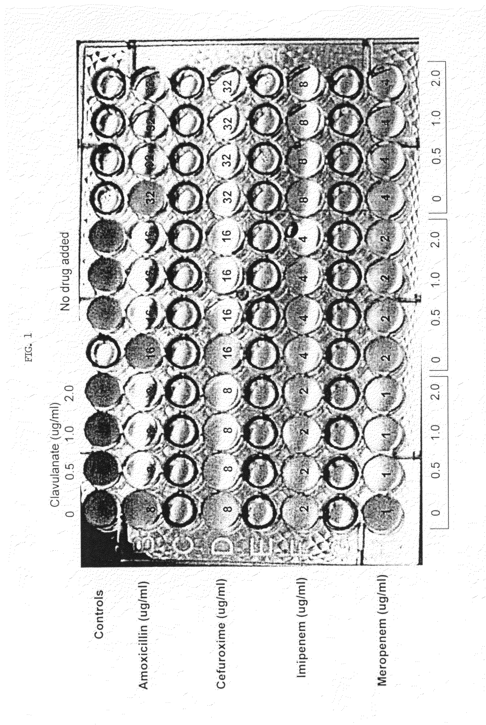 Method for treating tuberculosis