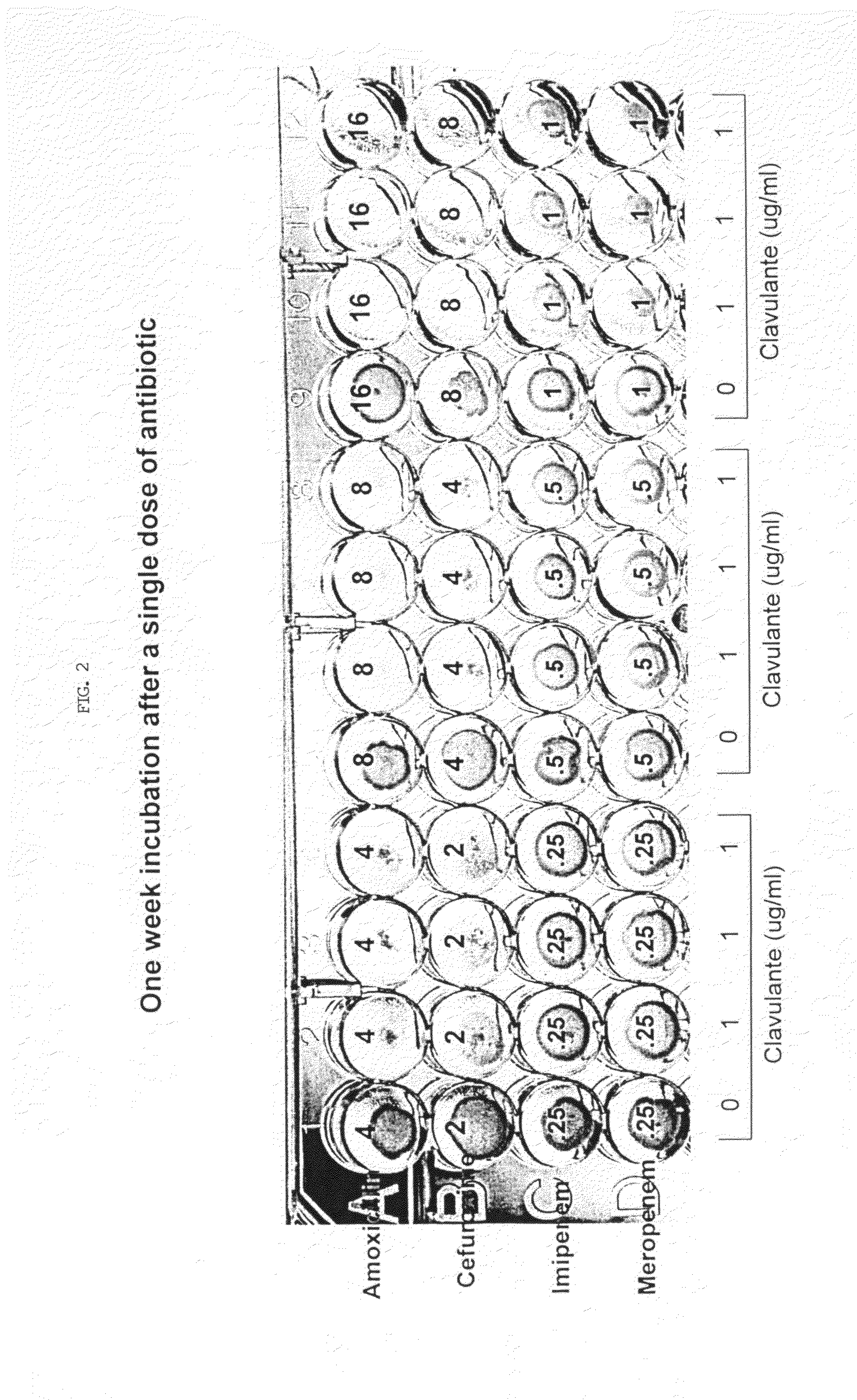 Method for treating tuberculosis