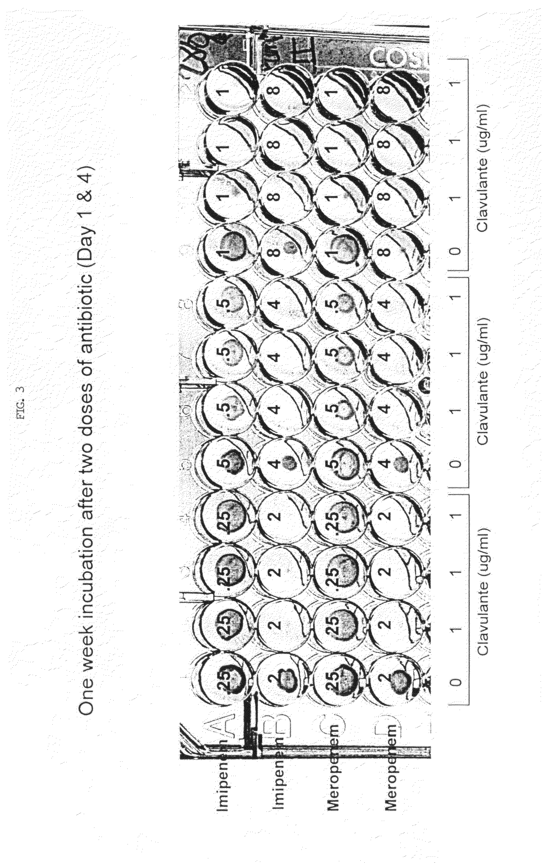 Method for treating tuberculosis