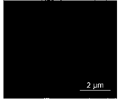 Preparation method of metal-free catalyst for room-temperature efficient catalytic oxidation desulfurization