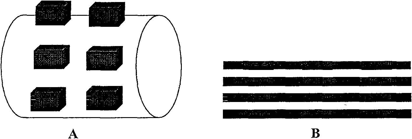 Bionic dermis and preparation method and application thereof