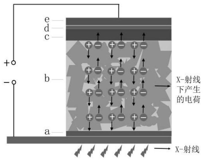 A kind of X-ray detector based on perovskite single crystal particle composite film and its preparation method