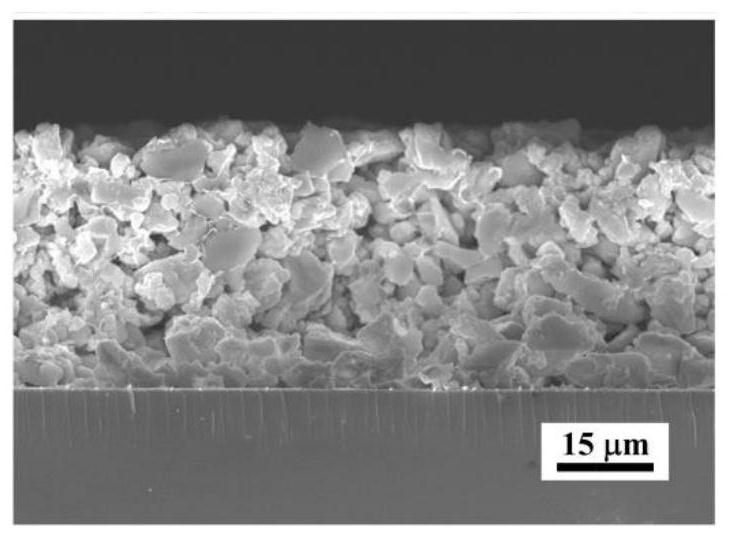 A kind of X-ray detector based on perovskite single crystal particle composite film and its preparation method