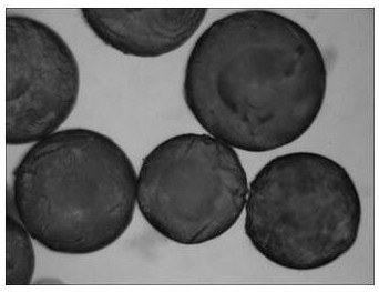 Preparation method of photocatalytic hydrogel particles