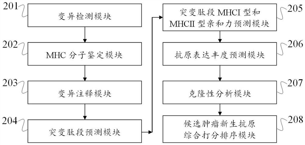 Tumor neoantigen detection method, device and storage medium based on next-generation sequencing