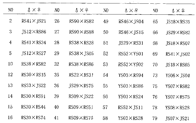 Selection and culture method of excellent breed large-tooth flounder featuring fast growth and high survival rate