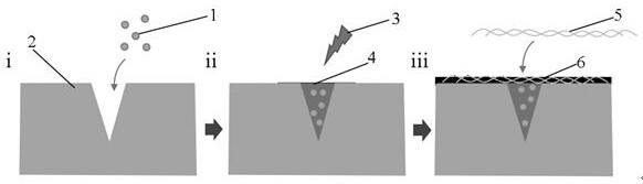 Preparation method and application of antibacterial damage repair microneedle for slowly releasing MSC (mesenchymal stem cell) sourced exosome