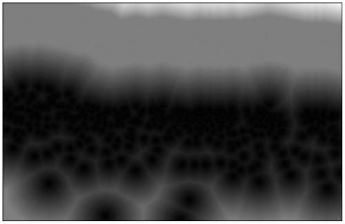 Dense group counting and positioning method based on distance transformation label