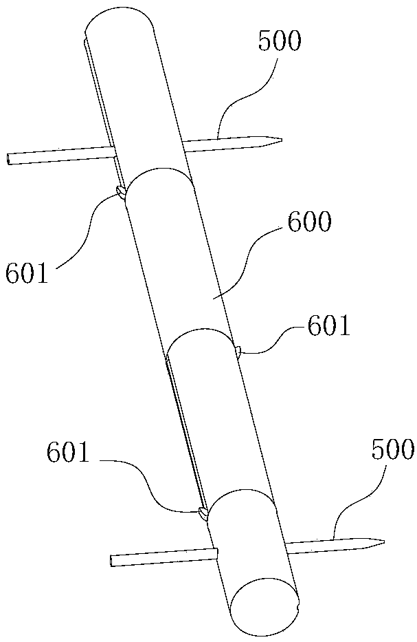 Calibration method of sugarcane seed stem buds