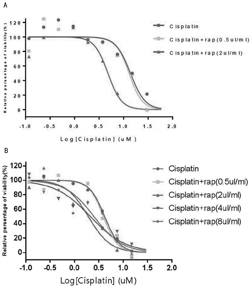 A novel tumor targeting therapy polypeptide and its use