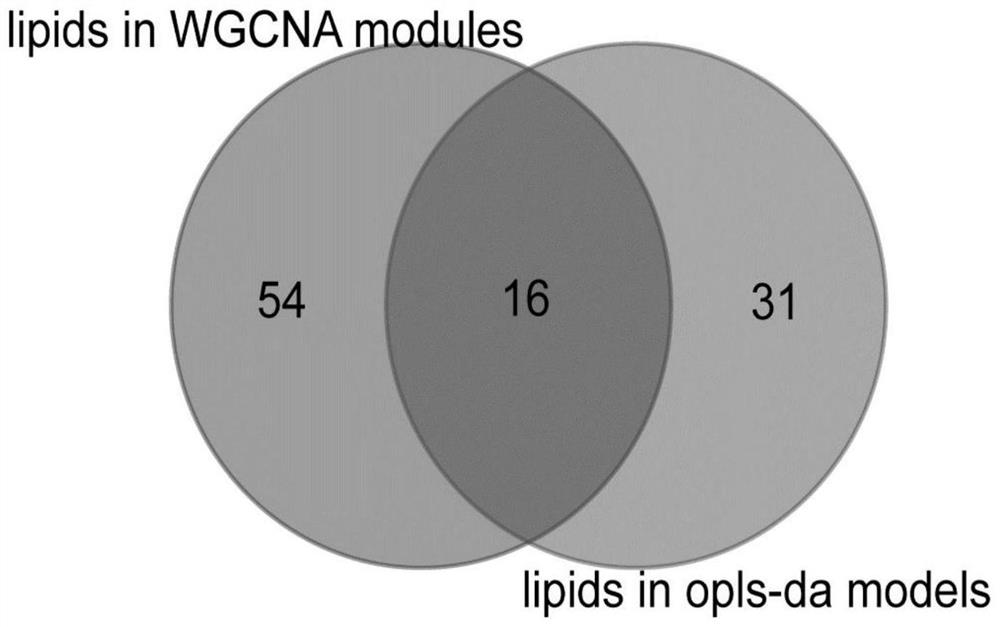 Application of long-chain acyl carnitine as biomarker of cerebral arterial thrombosis