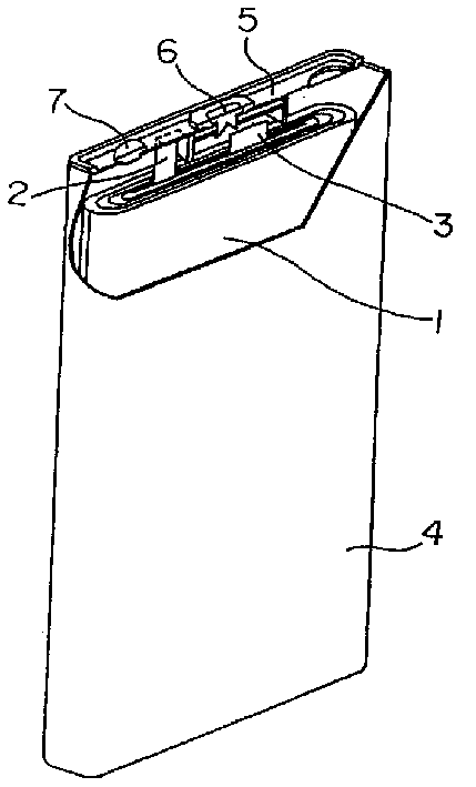 Lithium secondary cell