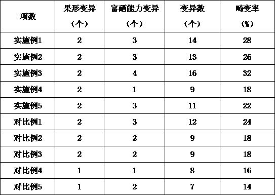 Grafting and mutagenesis combined macadamia nut breeding method