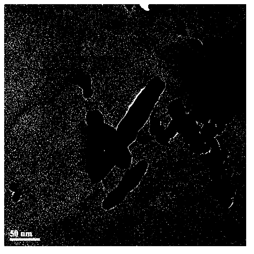 A kind of preparation method of boron-doped graphene nanosheet composite tio2 photocatalyst