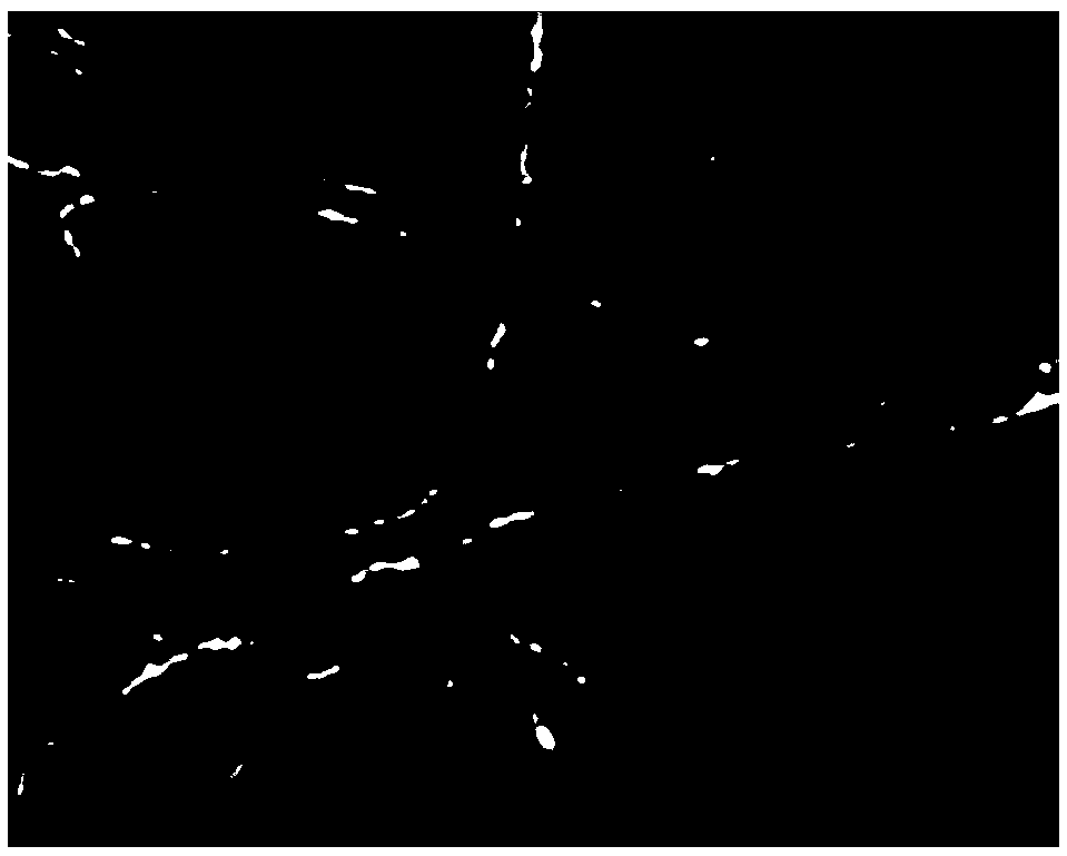 Si/SiO2/C composite nanofiber material, preparation method thereof and anode material