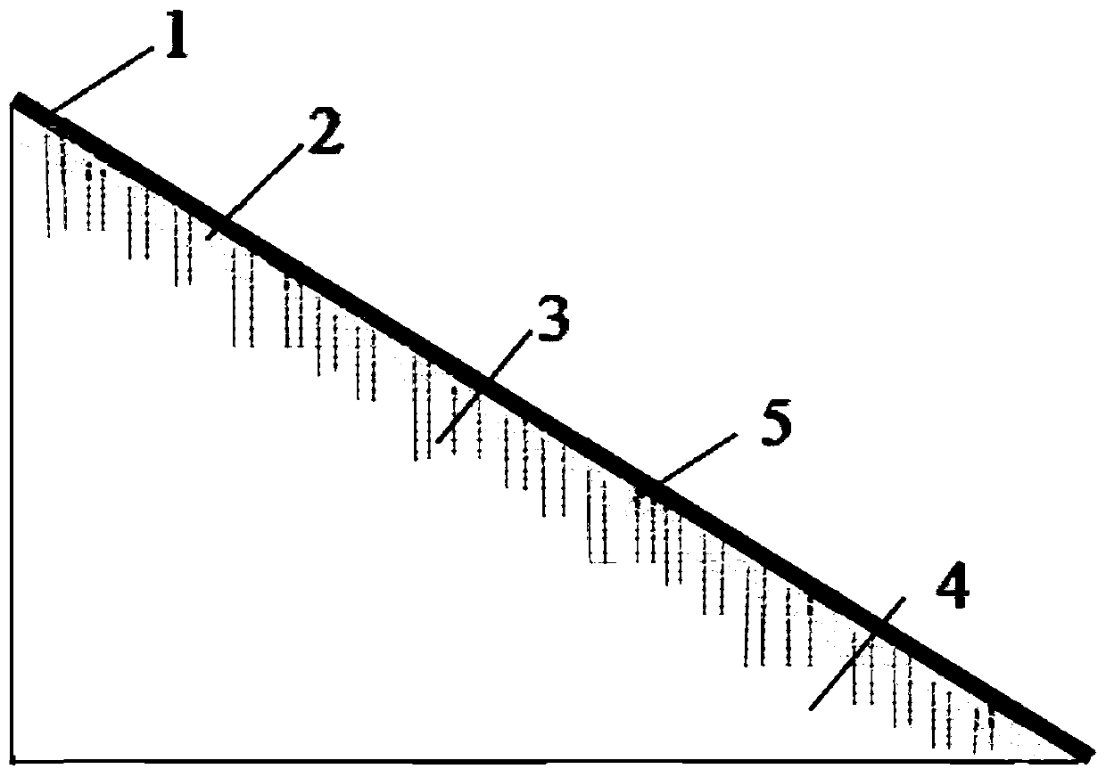 Soil and water loss control method based on microbial mineralization