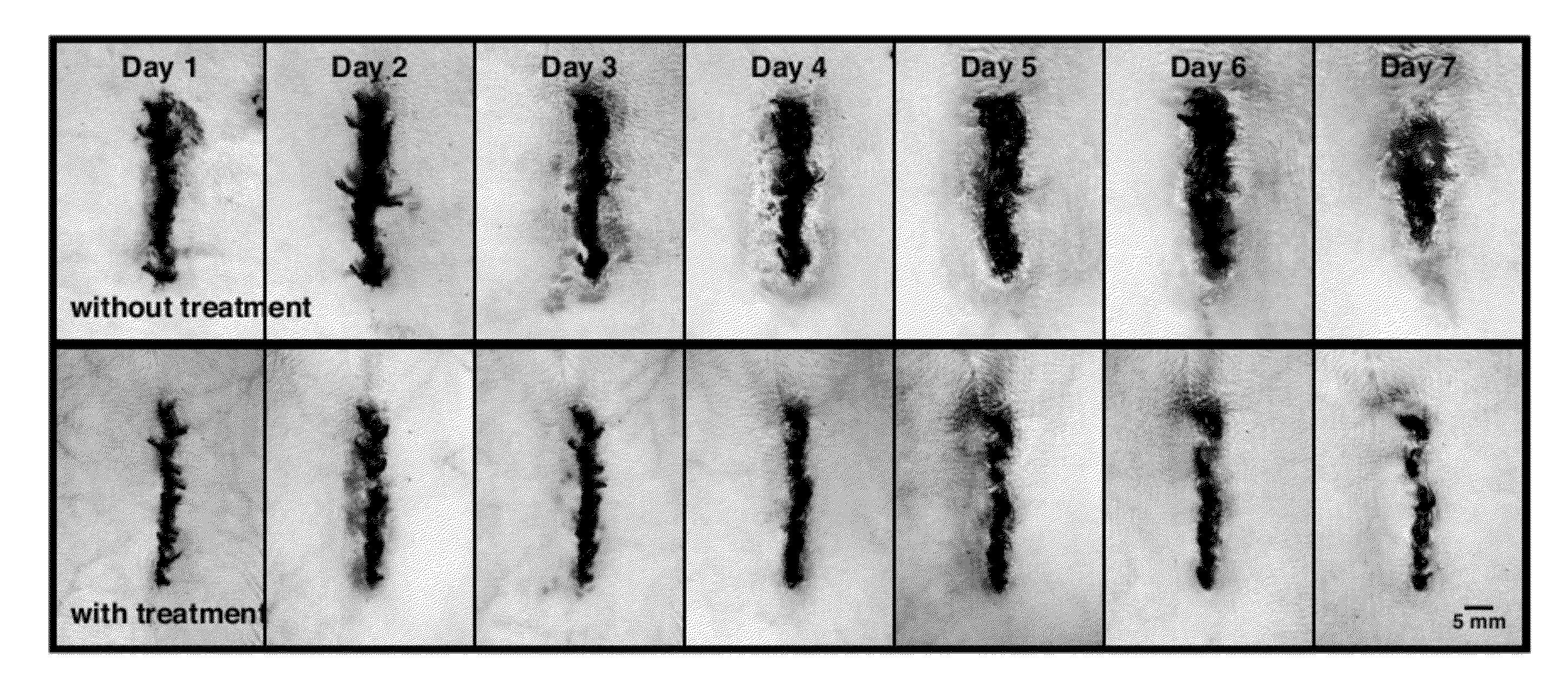 Methods to Accelerate Tissue and Wound Healing Rates and Reduce Swelling and Scar Formation