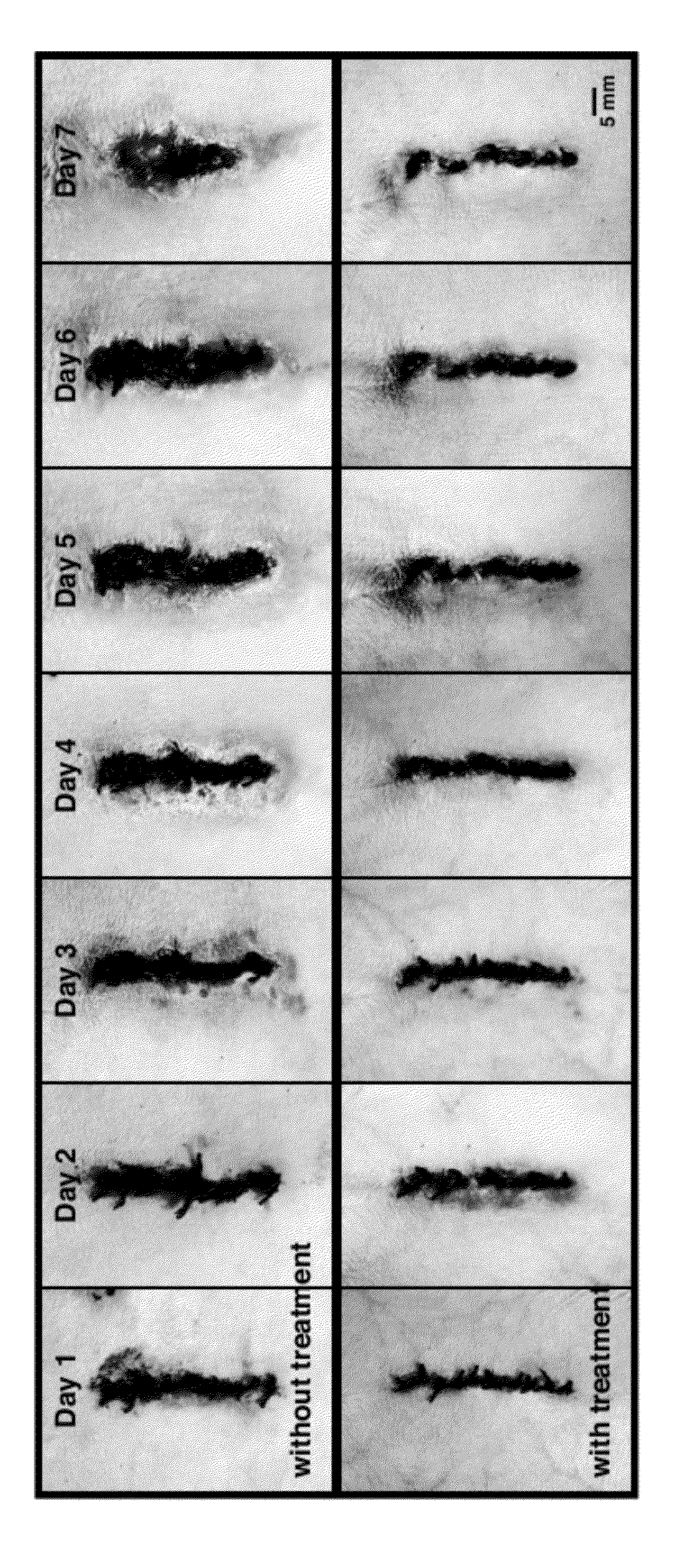 Methods to Accelerate Tissue and Wound Healing Rates and Reduce Swelling and Scar Formation