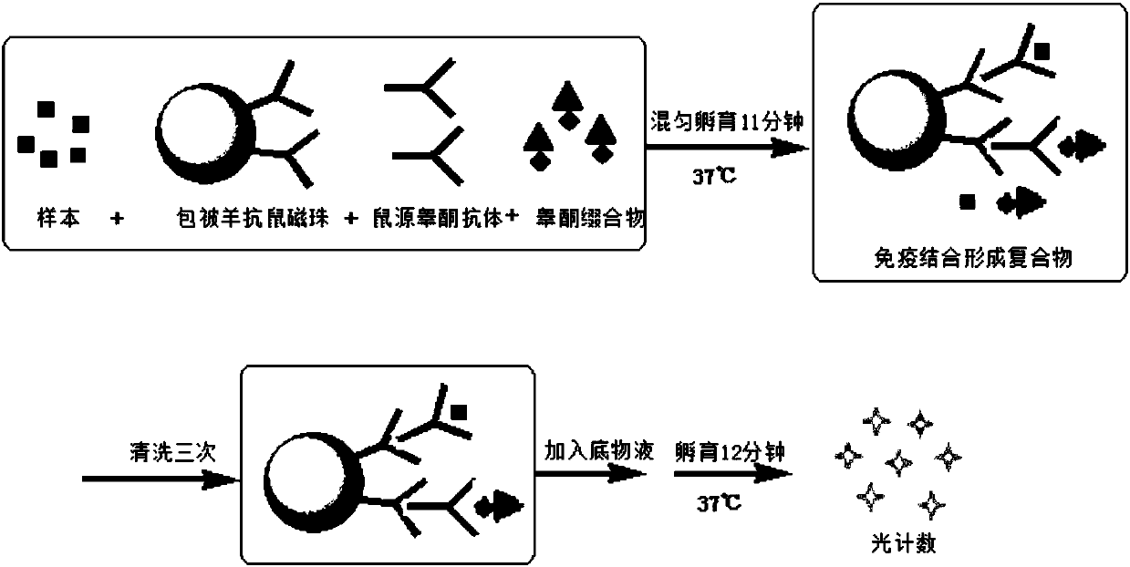 Compounds, conjugates, kits as well as applications thereof in detecting testosterone or analogues thereof