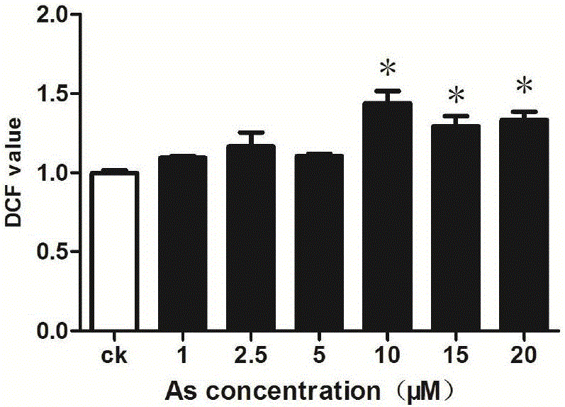 Method for detecting content of active oxygen in cells