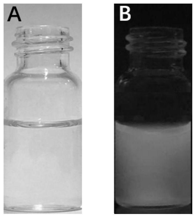 A kind of nitrogen-doped graphene quantum dot and its preparation method and application