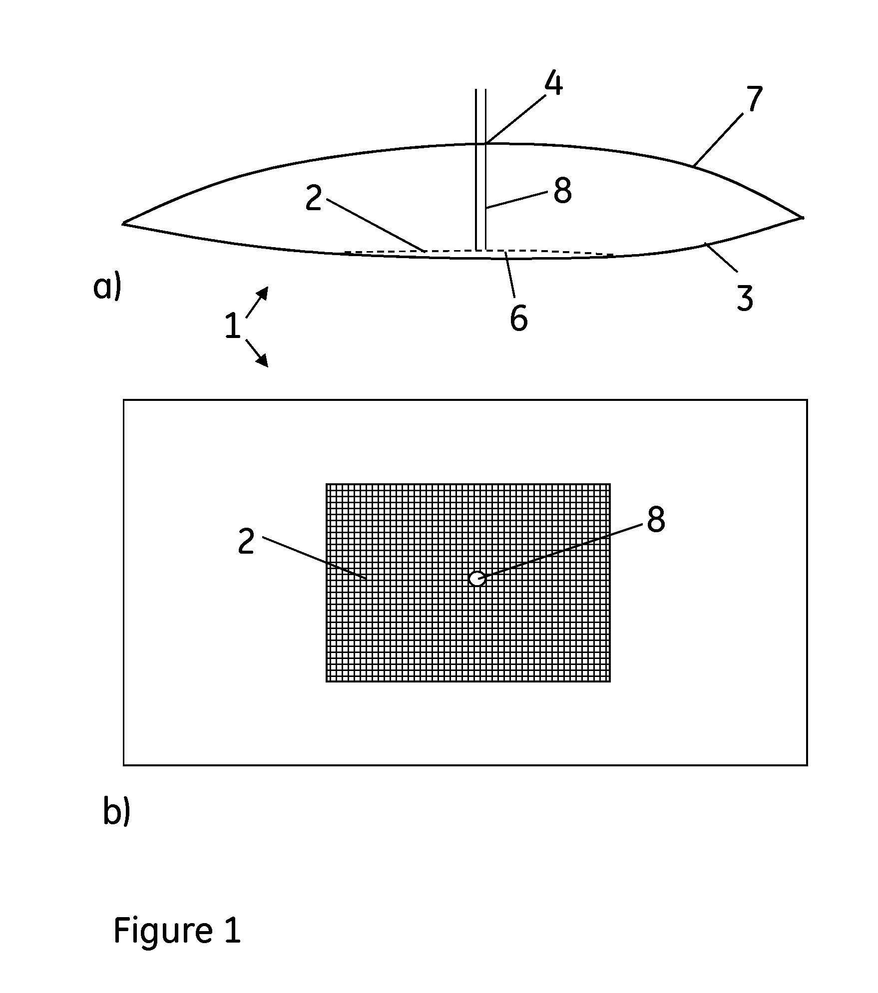 Method of cultivating cells on microcarriers in a bag