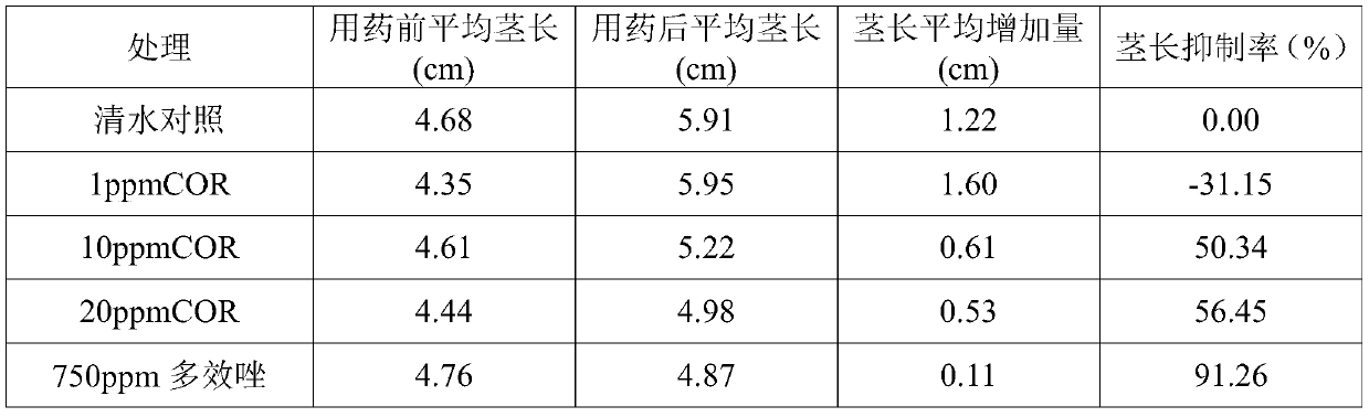 Application of coronatine in crop vigorous growth control