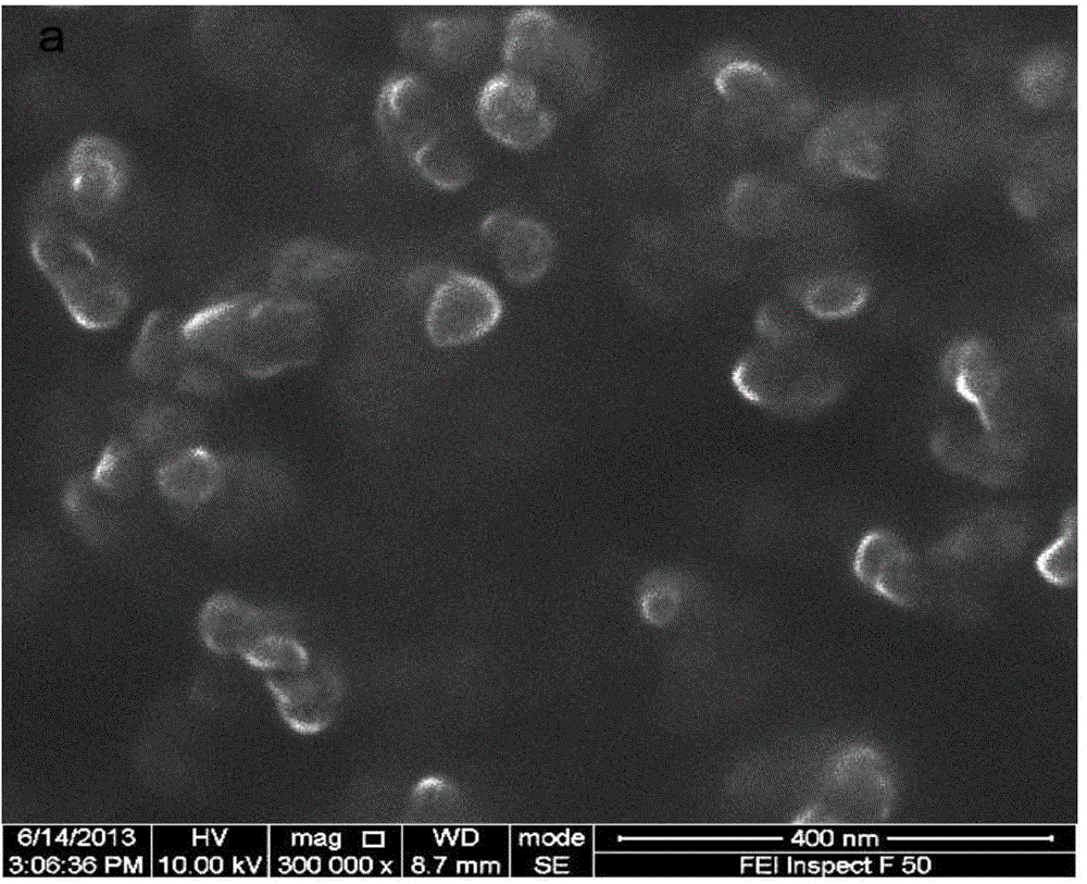 Magnetic pirarubicin nano-drug composite