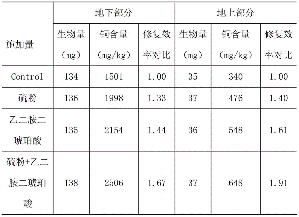 A method to improve the efficiency of phytoremediation of copper-contaminated soil