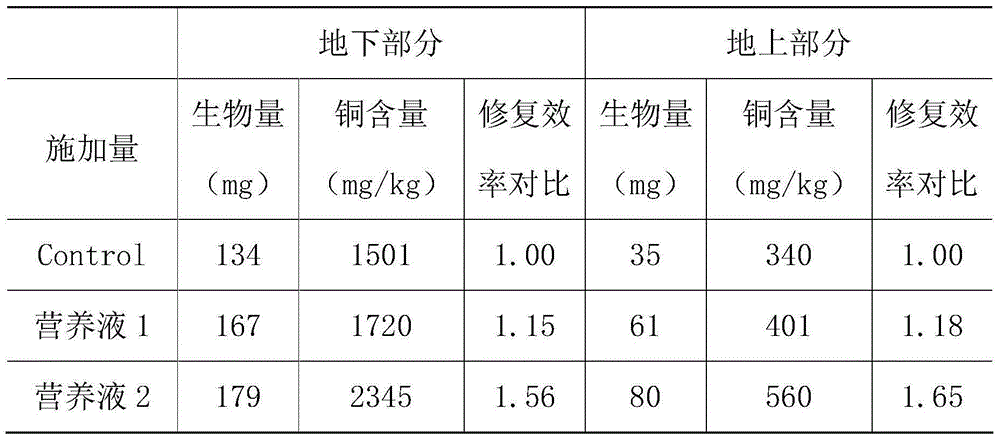 A method to improve the efficiency of phytoremediation of copper-contaminated soil