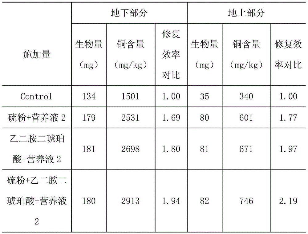 A method to improve the efficiency of phytoremediation of copper-contaminated soil