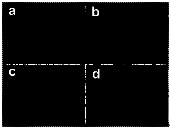 Method for preparing one-dimensional silicon nanostructure array on surface of optical fiber