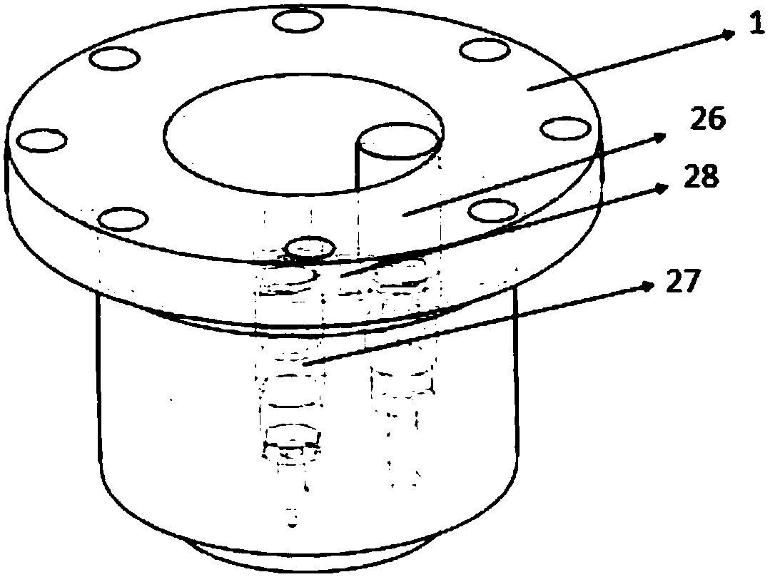 Research device and control method for mixing characteristics of natural gas/diesel dual fuel injection