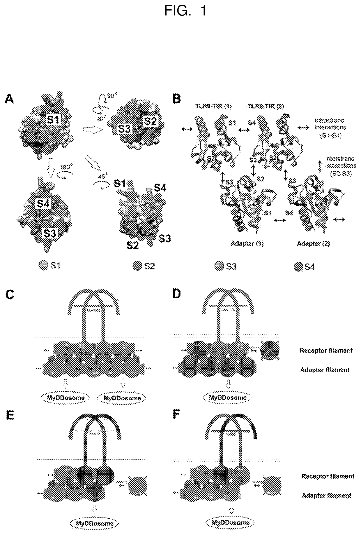 Tlr9 inhibitors to suppress inflammatory response to pathogens