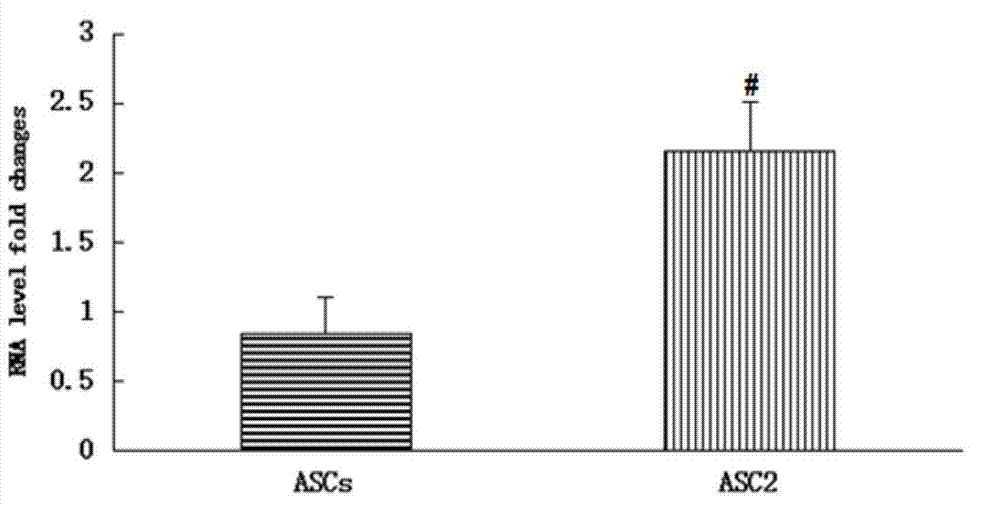 Method for enhancing immunological performance and migration capacity of adipose mesenchymal stem cell