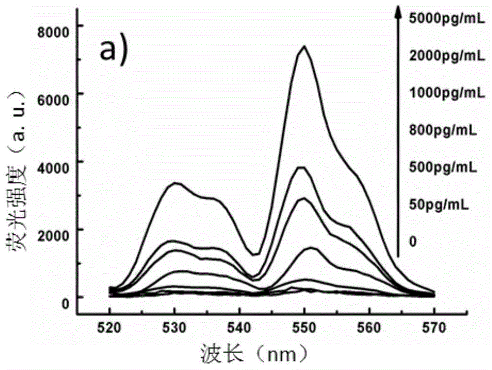 Paper chip, making method thereof, and bio-molecule detection method