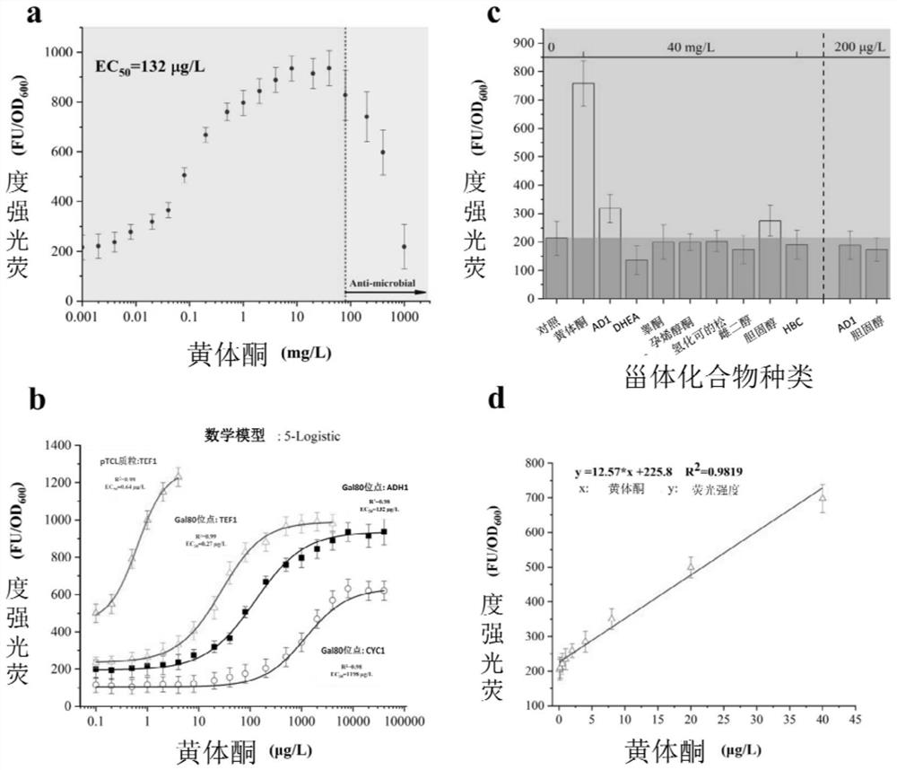 Progesterone whole-cell biosensor as well as preparation method and application thereof