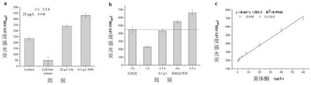 Progesterone whole-cell biosensor as well as preparation method and application thereof