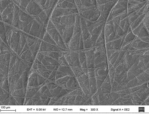 Chitosan-calcium hydroxide composite and its preparation and application as stiffener for paper