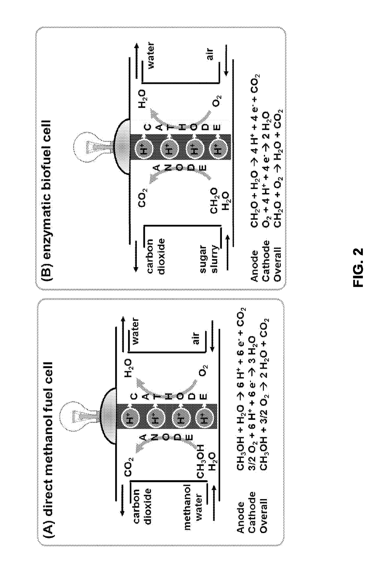 Complete oxidation of sugars to electricity by using cell-free synthetic enzymatic pathways