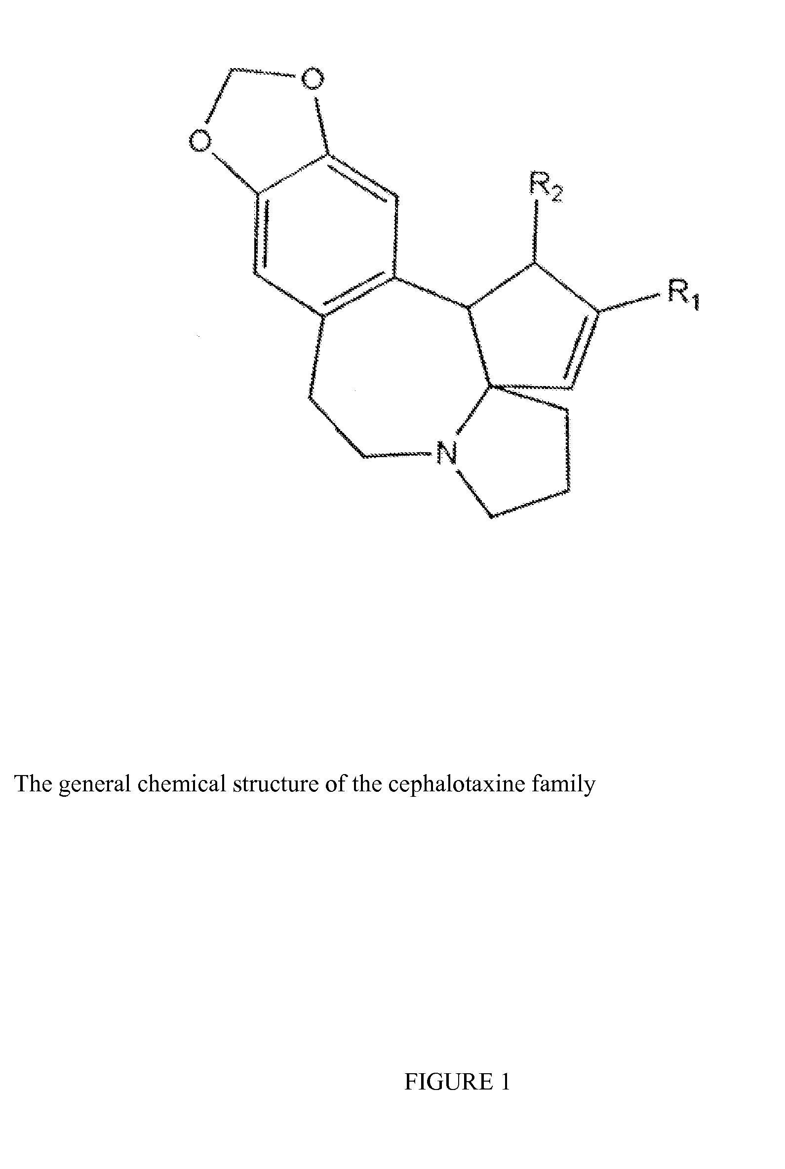 Angiogenesis inhibition by cephalotaxine alkaloids, derivatives, compositions and uses thereof