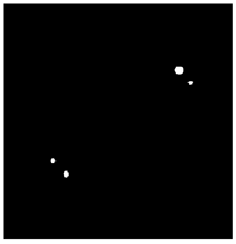 A double chromosome image cutting method based on a Compact SegUnet self-learning model