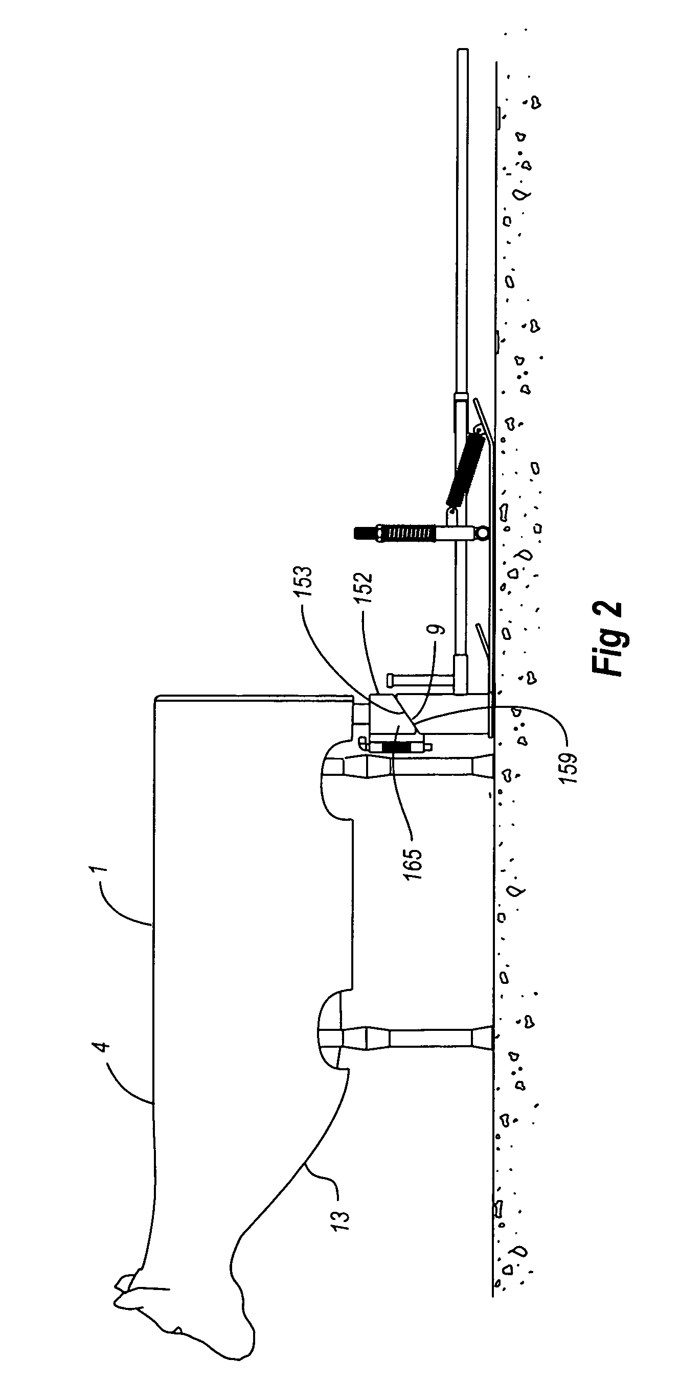 Training apparatus for calf roping